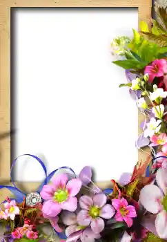 범주에서의 사진 효과 여성 프레임 № 26628