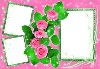 범주에서의 사진 효과 여성 프레임 № 275