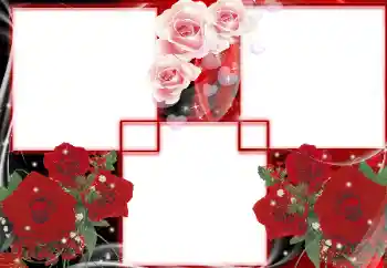 범주에서의 사진 효과 여성 프레임 № 27699