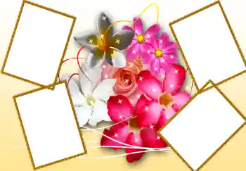 범주에서의 사진 효과 여성 프레임 № 276