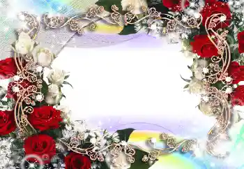 범주에서의 사진 효과 여성 프레임 № 2784