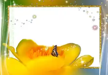 범주에서의 사진 효과 여성 프레임 № 278