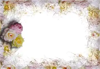 범주에서의 사진 효과 여성 프레임 № 284