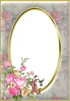 범주에서의 사진 효과 여성 프레임 № 286