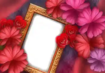 범주에서의 사진 효과 여성 프레임 № 2919