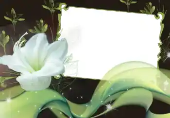 범주에서의 사진 효과 여성 프레임 № 2920