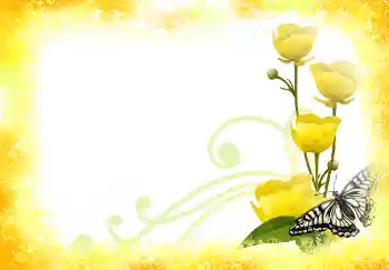 범주에서의 사진 효과 여성 프레임 № 2921