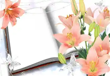 범주에서의 사진 효과 여성 프레임 № 2985