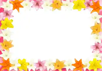 범주에서의 사진 효과 여성 프레임 № 2989