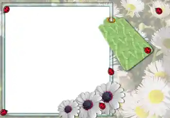 범주에서의 사진 효과 여성 프레임 № 3103