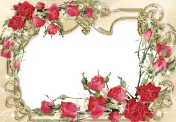 범주에서의 사진 효과 여성 프레임 № 31765