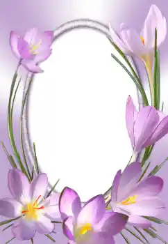 범주에서의 사진 효과 여성 프레임 № 31786