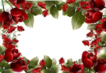 범주에서의 사진 효과 여성 프레임 № 31814