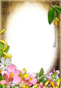 범주에서의 사진 효과 여성 프레임 № 31838