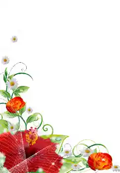 범주에서의 사진 효과 여성 프레임 № 31839