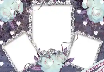 범주에서의 사진 효과 여성 프레임 № 31853