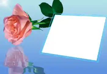 범주에서의 사진 효과 여성 프레임 № 32721