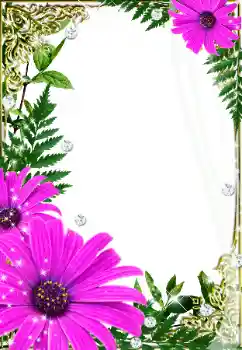 범주에서의 사진 효과 여성 프레임 № 32733