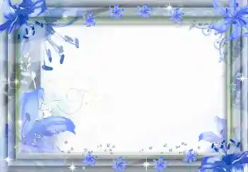 범주에서의 사진 효과 여성 프레임 № 33701