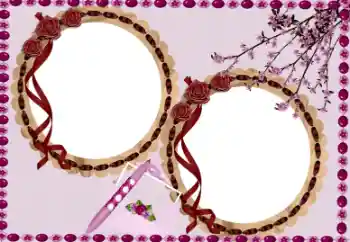 범주에서의 사진 효과 여성 프레임 № 33704