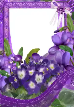 범주에서의 사진 효과 여성 프레임 № 33734