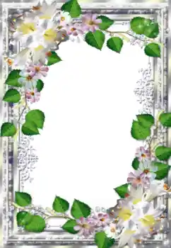 범주에서의 사진 효과 여성 프레임 № 33735