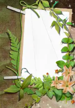 범주에서의 사진 효과 여성 프레임 № 33861