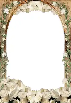 범주에서의 사진 효과 여성 프레임 № 33873