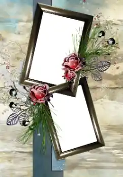 범주에서의 사진 효과 여성 프레임 № 33893