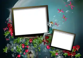 범주에서의 사진 효과 여성 프레임 № 33894