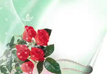 범주에서의 사진 효과 여성 프레임 № 33896