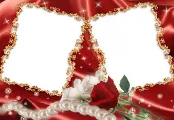 범주에서의 사진 효과 여성 프레임 № 33899