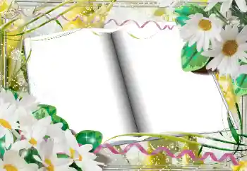 범주에서의 사진 효과 여성 프레임 № 33968