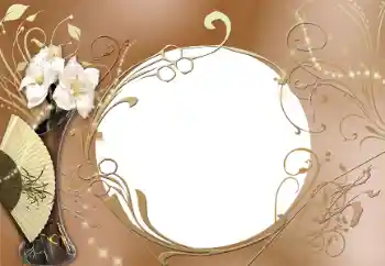 범주에서의 사진 효과 여성 프레임 № 34035