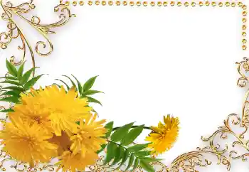 범주에서의 사진 효과 여성 프레임 № 34042