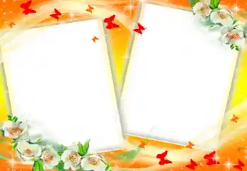 범주에서의 사진 효과 여성 프레임 № 34046