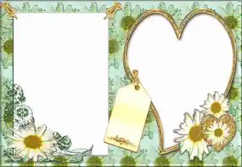 범주에서의 사진 효과 여성 프레임 № 34056