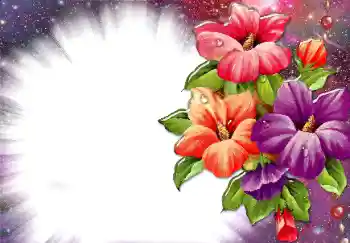 범주에서의 사진 효과 여성 프레임 № 34074