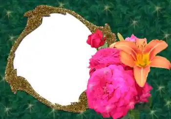 범주에서의 사진 효과 여성 프레임 № 34688