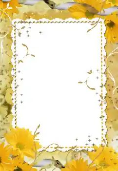 범주에서의 사진 효과 여성 프레임 № 34706