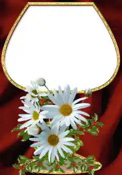 범주에서의 사진 효과 여성 프레임 № 34708