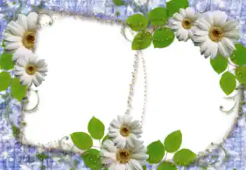 범주에서의 사진 효과 여성 프레임 № 34745