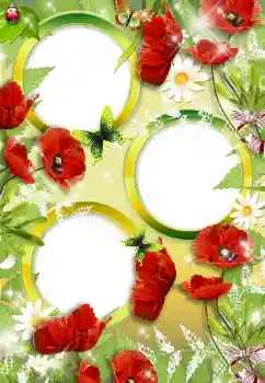 범주에서의 사진 효과 여성 프레임 № 34748