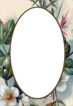 범주에서의 사진 효과 여성 프레임 № 34845