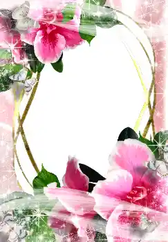 범주에서의 사진 효과 여성 프레임 № 3487