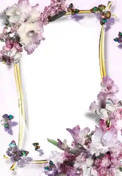 범주에서의 사진 효과 여성 프레임 № 3488