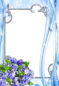 범주에서의 사진 효과 여성 프레임 № 3489