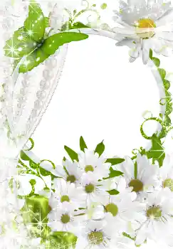 범주에서의 사진 효과 여성 프레임 № 3493