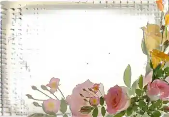 범주에서의 사진 효과 여성 프레임 № 35017