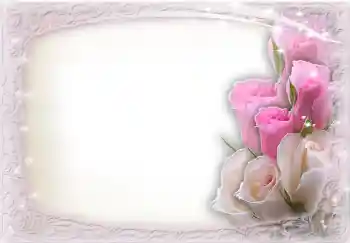 범주에서의 사진 효과 여성 프레임 № 3557